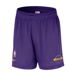 Nike Los Angeles Lakers HM7345-504